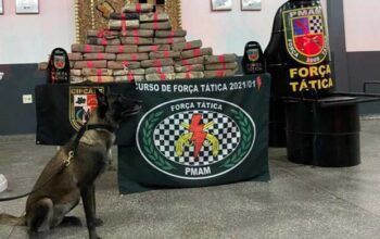 Com ajuda de cães, polícia apreende 80 quilos de maconha do tipo skunk no Zumbi