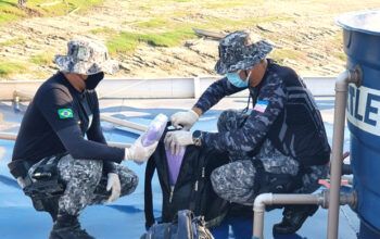 Quase 50kg de maconha oriundos de Tabatinga são apreendidos em Coari dentro da caixa d'água da embarcação “Irmãos Miranda II”