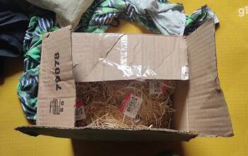 Suspeita de envenenar o ex e a noiva dele poucos dias antes do casamento é presa