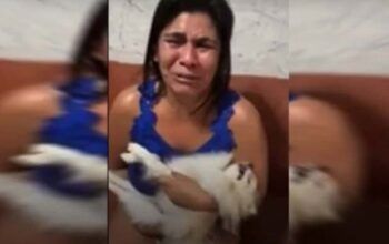 Vídeo: aos prantos e com cachorro morto no colo, mulher critica pet shop: “Era meu filho”