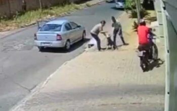 Vídeo: câmera flagra homem espancando cachorro