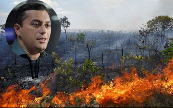 Governo do Amazonas não usa verba da Lava Jato para combater desmatamento