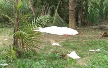 Homem é assassinado a tiros no Iranduba no bairro Novo Amanhecer