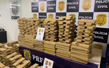 Megaoperação apreende 724kg de maconha