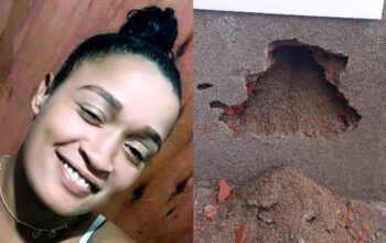 Pedreiro confessa que concretou Joice Maria na parede após ter feito sexo com ela