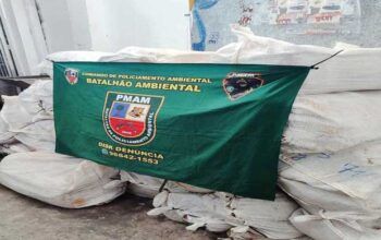 Quase 2 toneladas de pirarucu proibido para comercialização são apreendidas em frigorífico clandestino