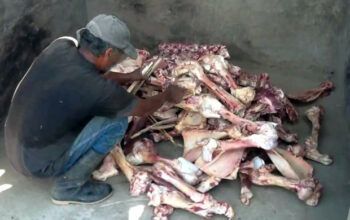 Rede Brasileira de Pesquisa diz que 20 milhões estão passando fome no Brasil