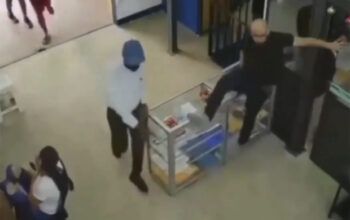 Simpática mucura 'visita' loja no centro de Manaus e provoca divertido alvoroço - veja vídeo