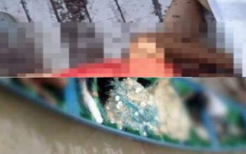 Três piratas do rio são presos acusados de matar 4 pessoas em Codajás e jogar os corpos em 2 canoas