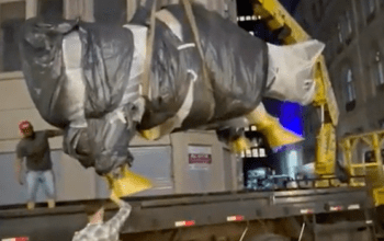 'Touro de Ouro' da B3 é removido por determinação da Prefeitura de São Paulo