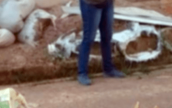 Tropa do Maquinista do Comando Vermelho sequestra e mata homem no Iranduba