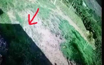 Câmera de segurança capta sombra do avião que caiu com Marília Mendonça - vídeo