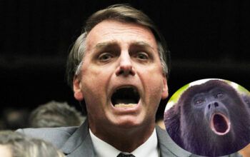 Chamado de cara de capivara Omar Aziz rebate Bolsonaro: "guariba abre a boca para jogar fezes"