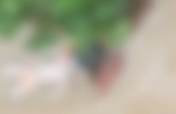 Corpo de homem morto e esquartejado é encontrado em igarapé em Manaus