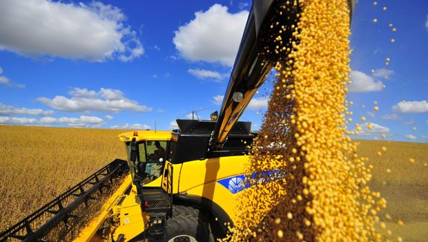 Desmatamento ameaça US$ 9,9 bilhões em exportações à União Europeia