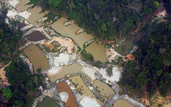 Garimpo Ilegal em Autazes: PT entra na Justiça contra Bolsonaro e responsáveis no governo