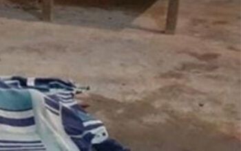 Grávida é ferida e homem é morto em tiroteio em um bar