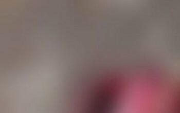 Homem é jogado de porta-malas de carro e morto a tiros