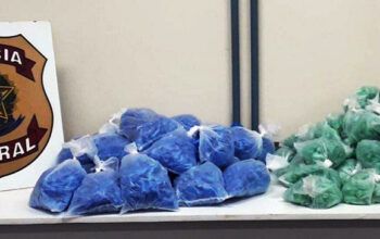 Homem é preso pela PF com 10 quilos de cocaína escondidos no forro das portas do carro