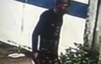 Homem é preso por matar cadela à facada