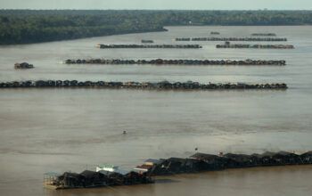 Invasão de centenas de garimpeiros na Amazônia expõe tolerância do Brasil com crime ambiental