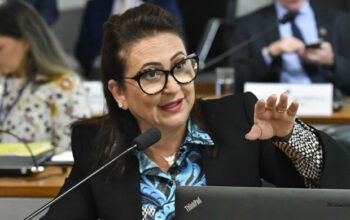 Kátia Abreu diz que Brasil errou ao minimizar desmatamento