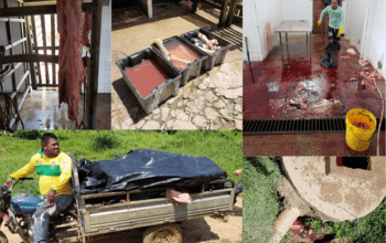 Ministério Público pede interdição do matadouro Hélio Fernandes em Benjamin Constant