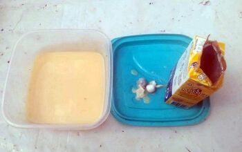 Mulher tenta passar droga dentro de lata de leite Condensado à detento na delegacia de Pauini e é presa