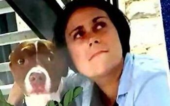 Mulher é morta com 50 facadas e assassino escreve no corpo da vítima "gorda"