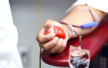 Senado aprova projeto que impede veto à doação de sangue por homens gays
