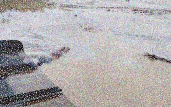 Três garimpeiros são mortos a tiros durante a madrugada no Japurá