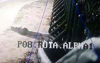 VÍDEO: Cobra gigante 'passeia' na frente de câmera de segurança de condomínio em Manaus