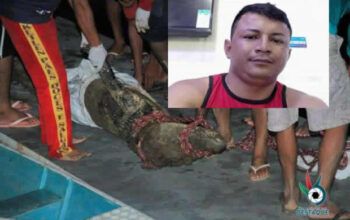 Empresário desaparecido é encontrado na barriga de jacaré