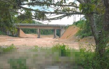 Catadores de latinhas encontram corpo em terreno no Distrito Industrial