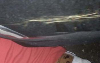 Homens são executados dentro de picape parada próximo a casa de show