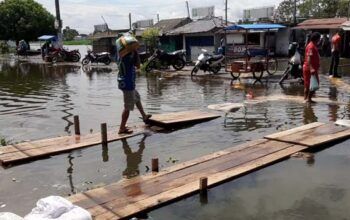 Calhas do Amazonas registram índices superiores à marca histórica do ano