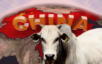 China derruba embargo à carne brasileira, diz Ministério da Agricultura