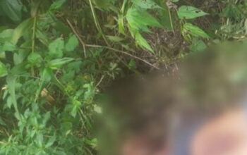 Corpo é encontrado com mãos amarradas em área de mata na UFAM