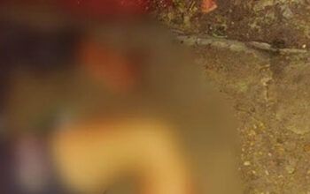 Homem de 22 anos é morto com mais de 15 tiros em área vermelha da Compensa