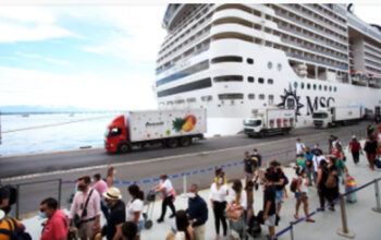 Após surtos de Covid, Anvisa reforça urgência e pede suspensão de cruzeiros