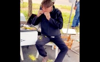 Bolsonaro posa comendo frango com farofa na rua, enquanto bate recorde de gastos no cartão corporativo (vídeo)