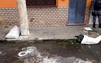 Cabeça e tronco de homem esquartejado são encontrados perto de praça na Aparecida