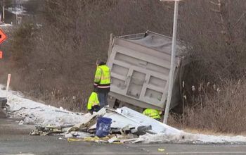 Caminhão que levava 100 macacos a laboratório se acidenta nos EUA