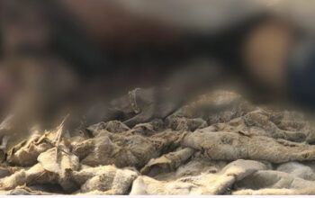 Corpo é encontrado neste sábado no Iranduba com marcas de tiros e mãos amarradas