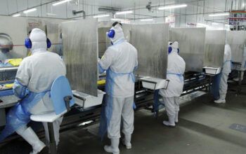 Covid-19 em alta: Brasil registra 45.717 novos casos nas últimas 24 horas