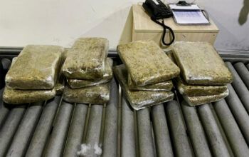 Policia Federal faz apreensão de maconha skunk em bagagem no aeroporto