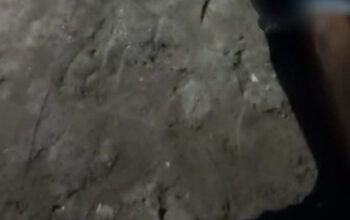 Homem é morto com 15 tiros no Parque das Nações, em Manaus