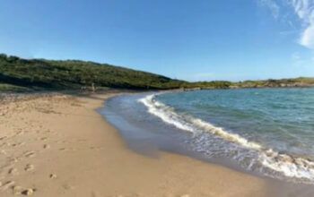 Homem de de 22 anos dorme na praia com a namorada  e acorda com a barriga aberta e sem parte do intestino