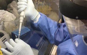 Após quase 6 meses, média móvel de mortes por Covid fica acima de 800