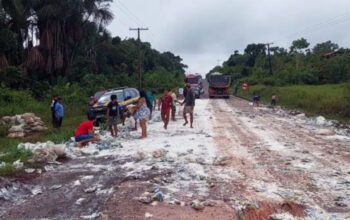 Caminhão com carga de leite tomba na BR -74 no município de Presidente Figueiredo